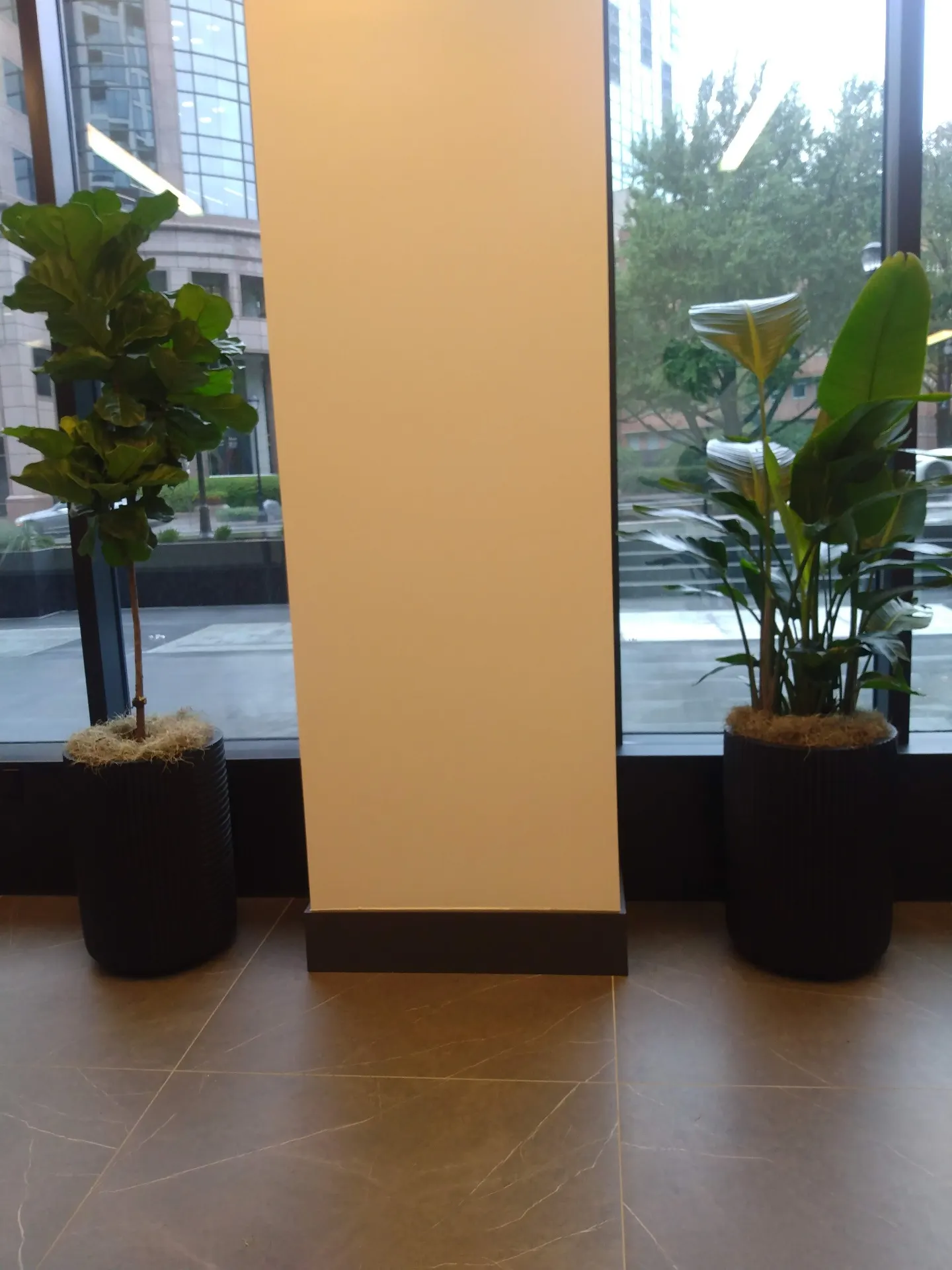 Large floor plants installed in the lobby of a Marietta office building