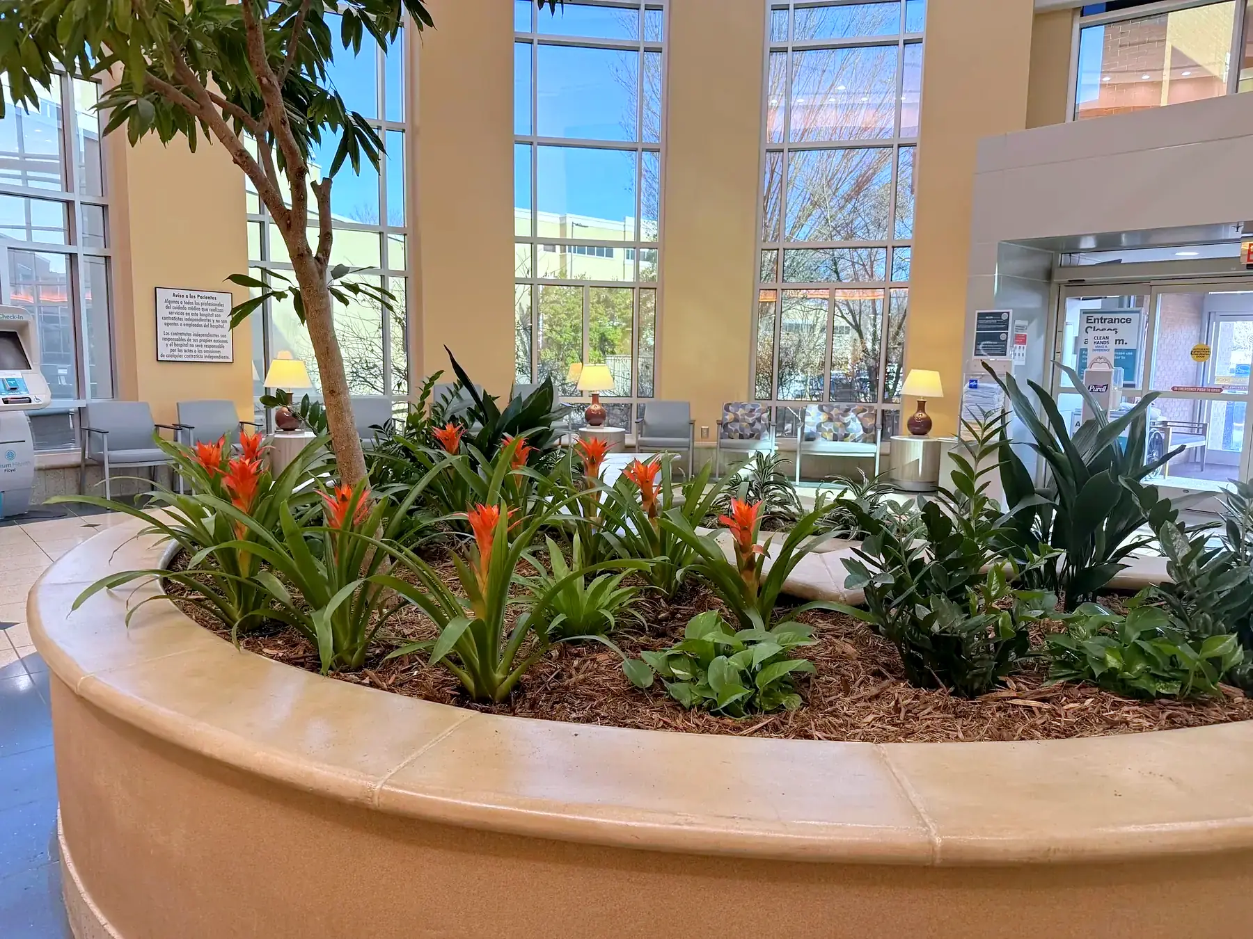 Large circular atrium planter of tropical plants and red bromeliads under tall windows