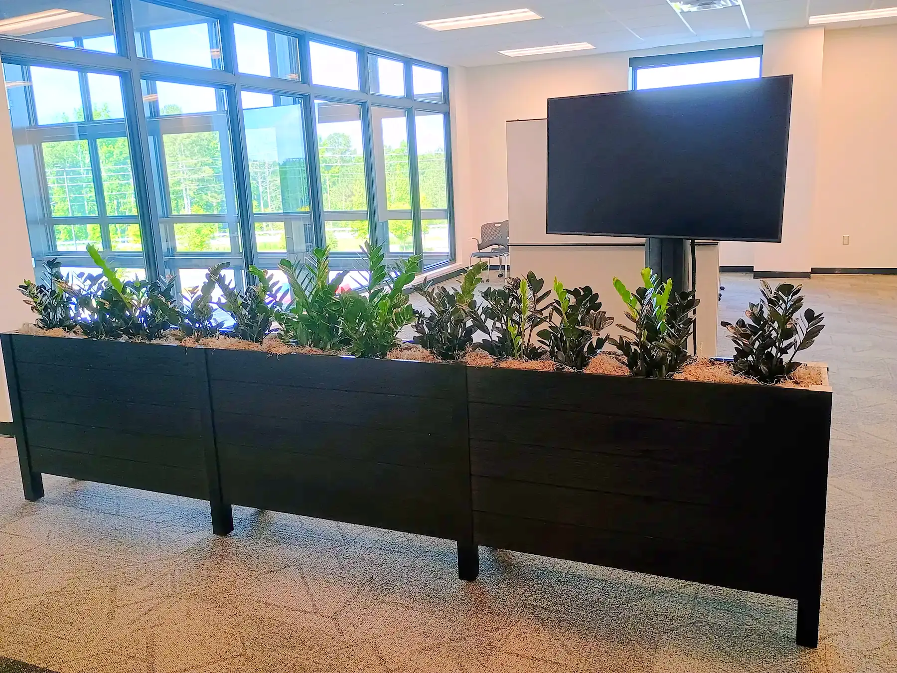 Maintained planter run of mixed tropicals along a wall of office windows
